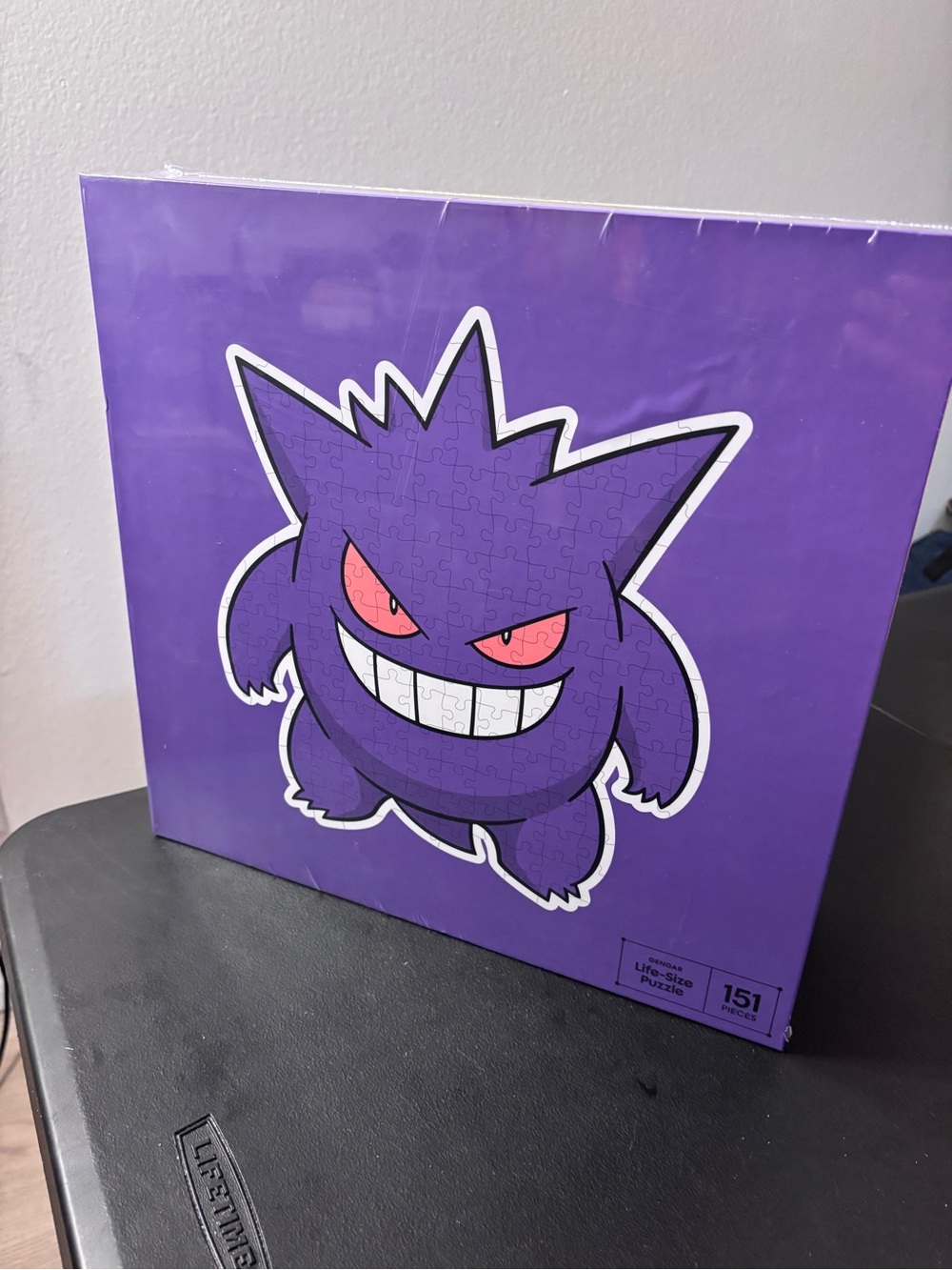 Pokemon Purple Gengar Puzzle